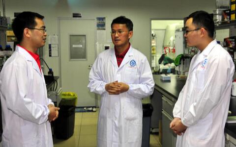 三七粉的功效與作用及食用方法