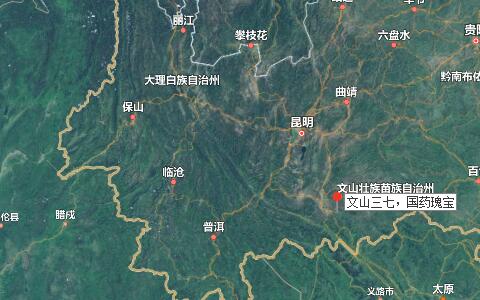 三七價格，三七粉價格