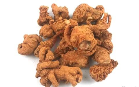 田七圖片,三七圖片