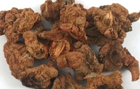 田七圖片,三七圖片