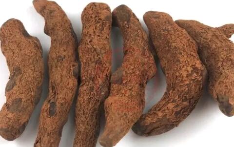 田七圖片,三七圖片