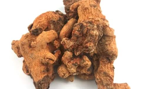 田七圖片,三七圖片