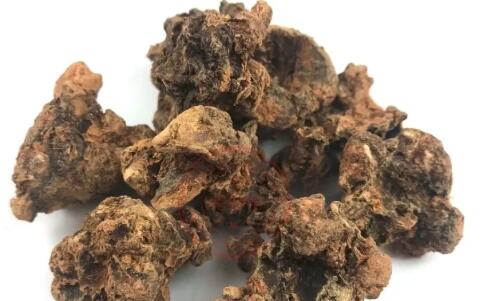 田七圖片,三七圖片