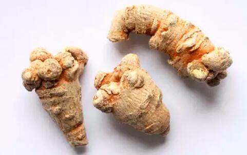 田七圖片,三七圖片