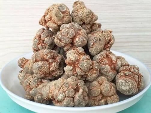 田七圖片,三七圖片