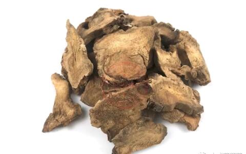 田七圖片,三七圖片